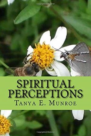 Book cover of SPIRITUAL PERCEPTIONS