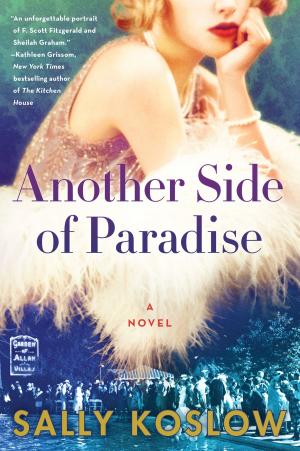 Book cover of Another Side of Paradise