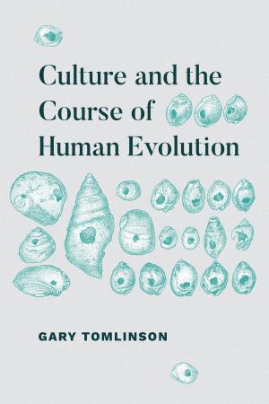 Cover of the book Culture and the Course of Human Evolution by Gail Radford