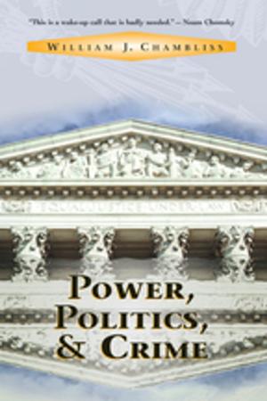 Book cover of Power, Politics And Crime