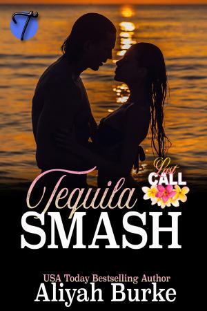 Cover of the book Tequila Smash by Megan O'Brien