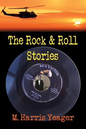 Cover of the book The Rock & Roll Stories by France Meyer