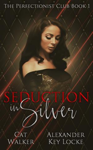 Book cover of Seduction in Silver: Book 1 in The Perfectionist Club Series of Erotic Novels