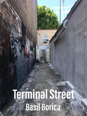 Cover of Terminal Street