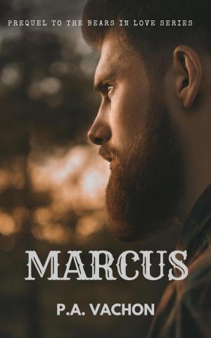 bigCover of the book Marcus by 