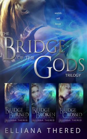 Cover of the book Bridge of the Gods Trilogy Box Set by Antonio Deidda