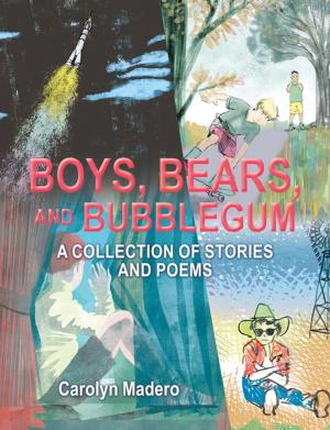 Cover of the book Boys, Bears, and Bubblegum by Eve Chilicas