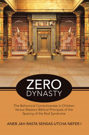 Cover of the book Zero Dynasty by James A. Twentier