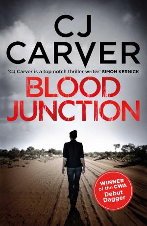 Cover of the book Blood Junction by Gayle Curtis
