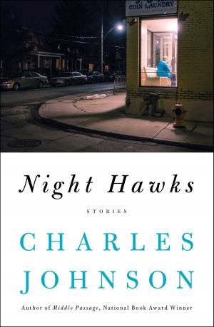 Book cover of Night Hawks