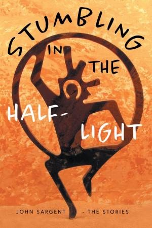 Cover of the book Stumbling in the Half-Light by Iheanyi M. Enwerem