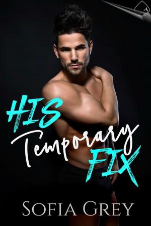 Cover of the book His Temporary Fix by Daisy Jordan