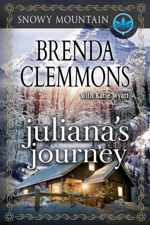 Cover of the book Juliana's Journey by Dave Riese