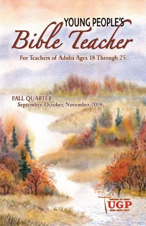 Cover of the book Young People’s Bible Teacher by Andrea Williams