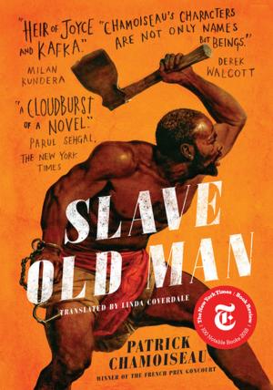 Cover of the book Slave Old Man by Owen Fiss