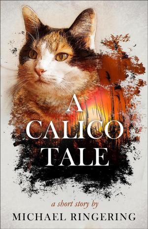 Cover of the book A Calico Tale by Douglas Nordfors