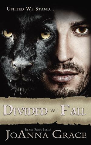 Cover of the book Divided We Fall by Susan Sheehey