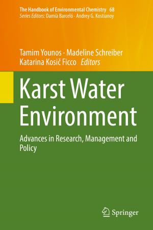 Cover of the book Karst Water Environment by Angel Santamaria-Navarro, Joan Solà, Juan Andrade-Cetto