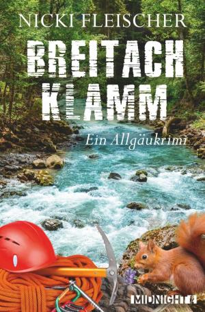 Cover of the book Breitachklamm by Cecily von Hundt
