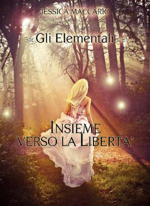 Cover of Gli Elementali 1: Insieme verso la libertà