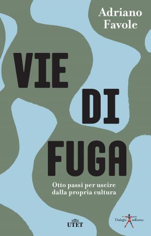 Cover of the book Vie di fuga by Vincenzo Monti