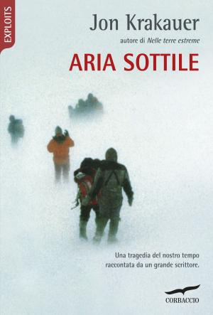 Cover of the book Aria sottile by Emilio Martini