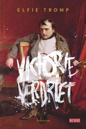 Cover of the book Victorieverdriet by Tom Egeland