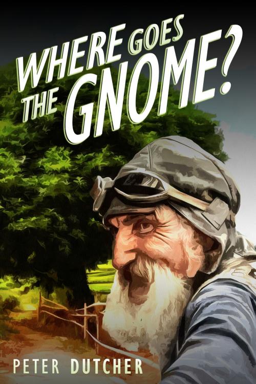 Cover of the book Where Goes the Gnome by Peter Dutcher, Peter Dutcher