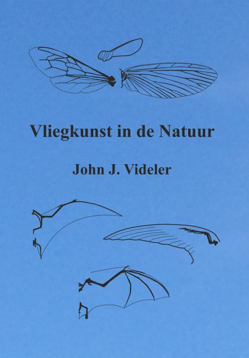 Cover of the book Vliegkunst in de natuur by John J. Videler, Joep vof