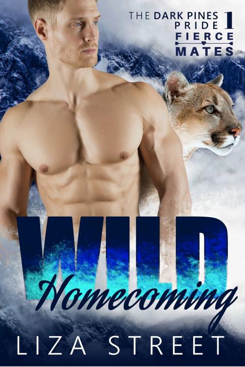 Cover of the book Wild Homecoming by Liza Street, Liza Street