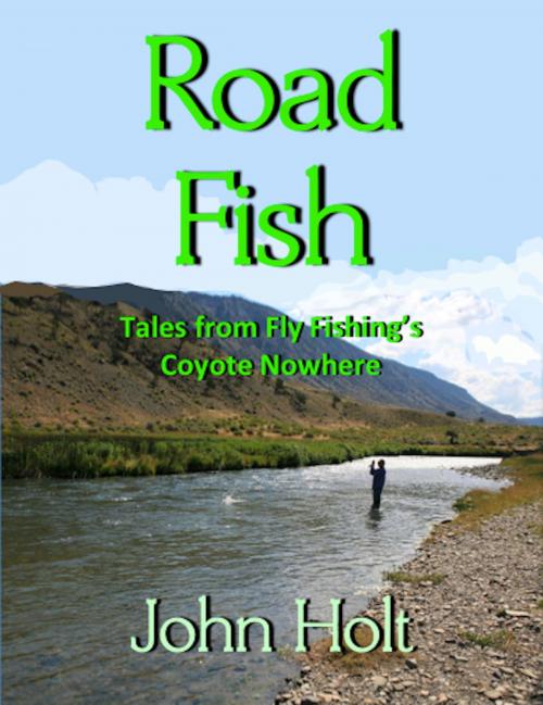 Cover of the book Road Fishing by John Holt, Absolutely Amazing Ebooks