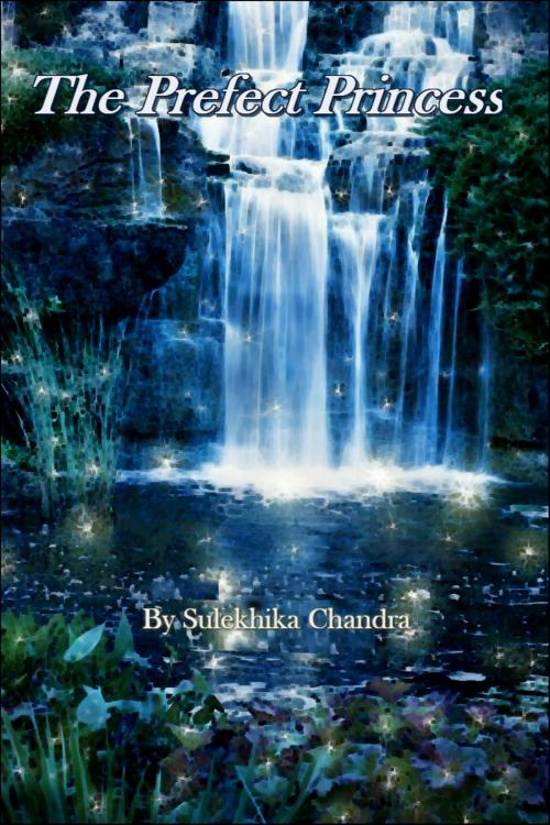 Cover of the book The Perfect Princess by Silekhika Chandra, Silekhika Chandra