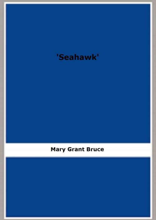 Cover of the book 'Seahawk' by Mary Grant Bruce, FB Editions