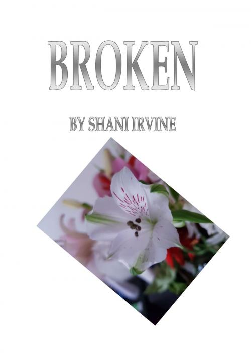 Cover of the book Broken by Shani Irvine, Shani Irvine