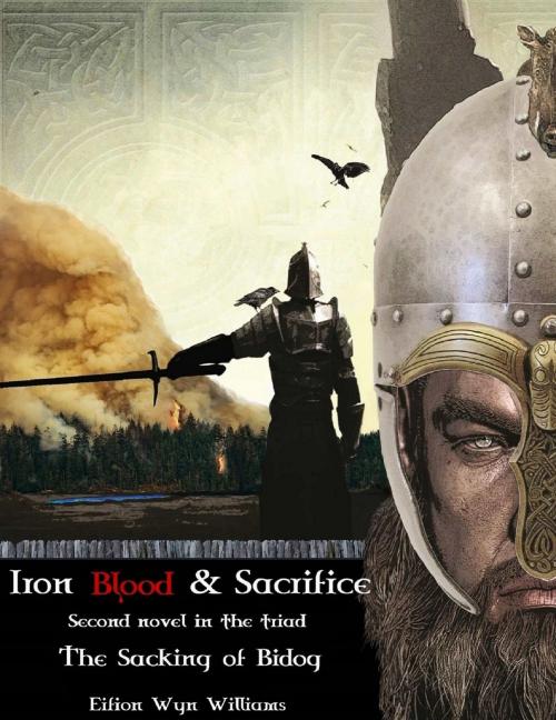 Cover of the book Iron Blood & Sacrifice by Eifion Wyn Williams, Kidle