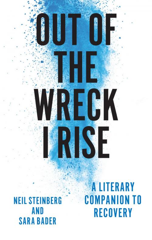 Cover of the book Out of the Wreck I Rise by Neil Steinberg, Sara Bader, University of Chicago Press