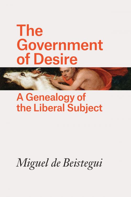 Cover of the book The Government of Desire by Miguel de Beistegui, University of Chicago Press