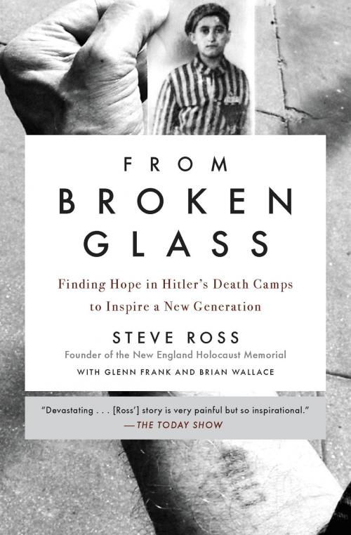 Cover of the book From Broken Glass by Steve Ross, Hachette Books