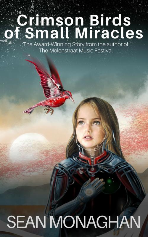 Cover of the book Crimson Birds of Small Miracles by Sean Monaghan, Triple V Publishing