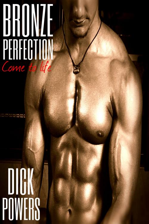 Cover of the book Bronze Perfection by Dick Powers, Lunatic Ink Publishing