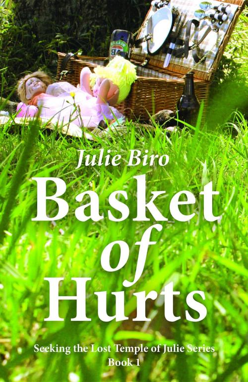 Cover of the book Basket of Hurts: by Julie Biro, Birology Books