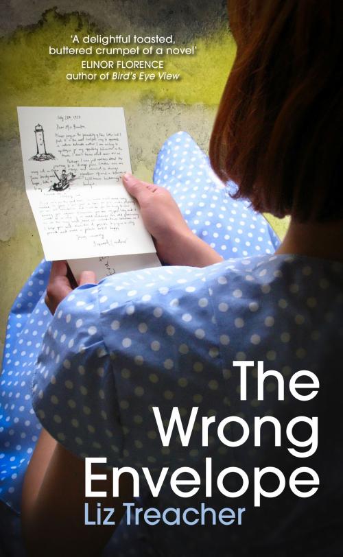 Cover of the book The Wrong Envelope by Liz Treacher, Liz Treacher