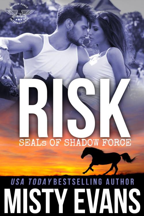 Cover of the book Risk by Misty Evans, Beach Path Publishing, LLC