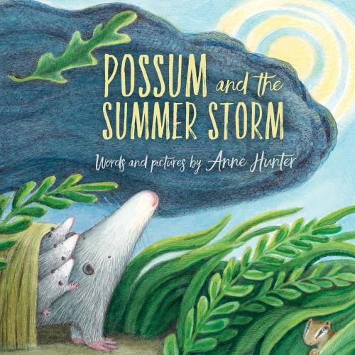 Cover of the book Possum and the Summer Storm by Anne Hunter, HMH Books