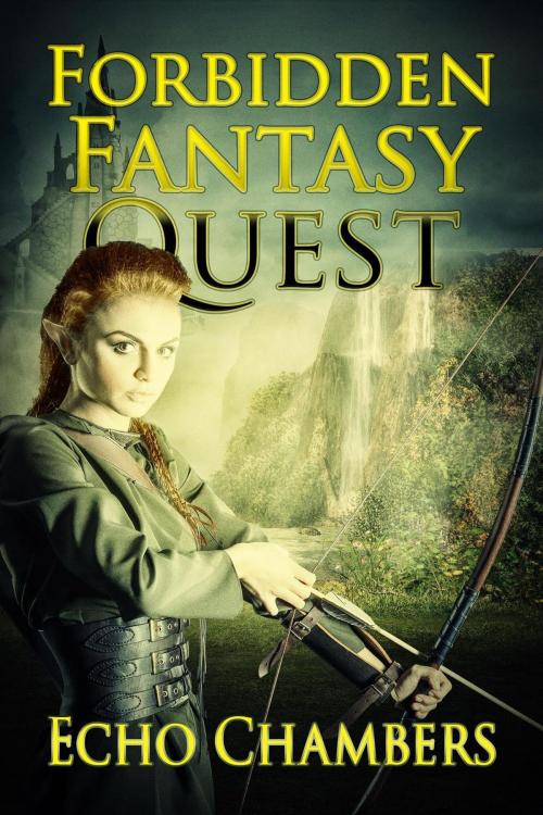 Cover of the book Forbidden Fantasy Quest by Echo Chambers, The Deltonian