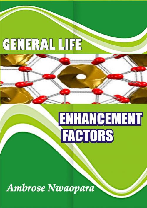 Cover of the book General Life Enhancement Factors by Ambrose Nwaopara, Ambrose Nwaopara