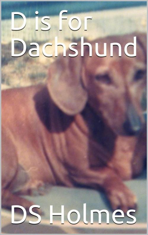 Cover of the book D is for Dachshund by DS Holmes, DS Holmes