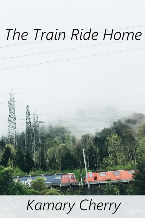 Cover of the book The Train Ride Home by Kamary Cherry, Kamary Cherry