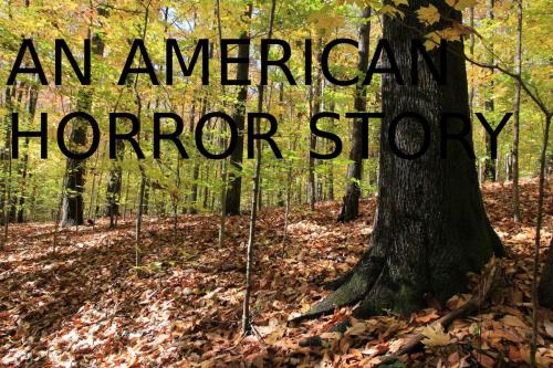 Cover of the book An American Horror Story by Christophe Breux, Christophe Breux