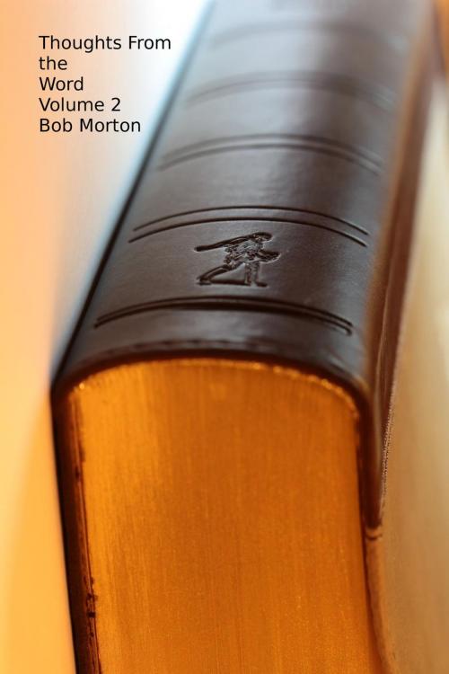Cover of the book Thoughts From The Word - Book 2 by Bob Morton, Bob Morton